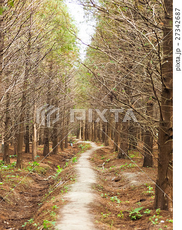 秋 あき 秋の 27342687