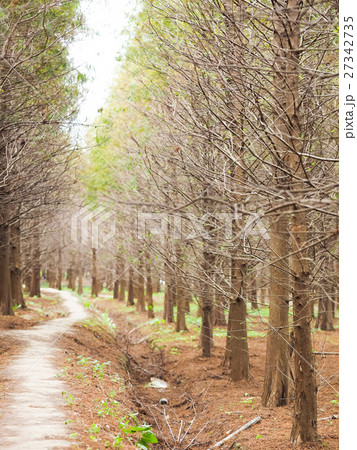 秋 あき 秋の 27342735