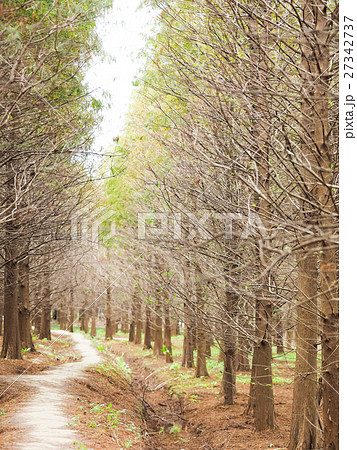 秋 あき 秋の 27342737