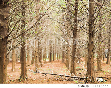 秋 あき 秋の 27342777