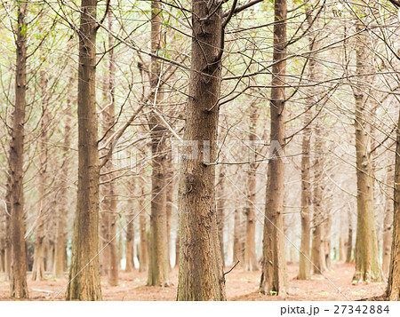 秋 あき 秋の 27342884