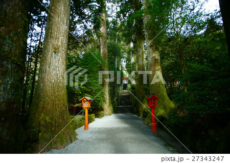 箱根神社参道　 27343247
