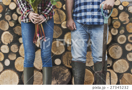 Firewood Fuelwood Lumber Timber Lumber Log Concept 27345232