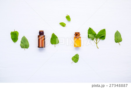 Bottle of essential oil with fresh lemon balm. 27348887