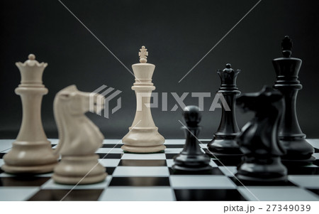 Black and White King and Knight of chess . Black and White King and Knight of chess . 27349039