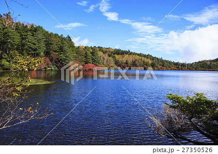 八千穂高原 紅葉の白駒の池 長野県佐久穂町・小海町 八千穂高原 紅葉の白駒の池 長野県佐久穂町・小海町 27350526