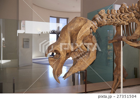 natural history museum 27351504