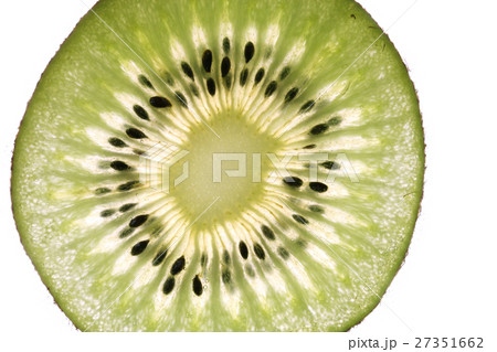 キウイフルーツ 白背景 キウイフルーツ 白背景 27351662