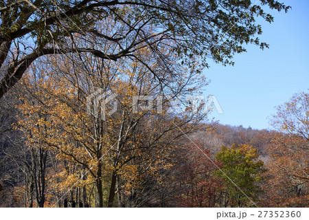 Pennsylvania 27352360