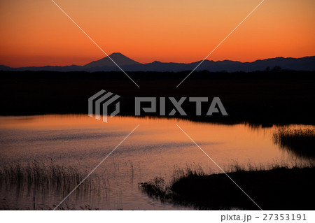 渡良瀬第二遊水地から見た富士山 27353191