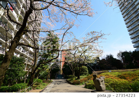 練馬区　春の風公園の桜 27354223