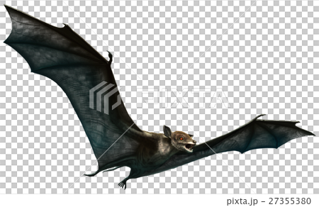 Icaronycteris Icaronycteris 27355380