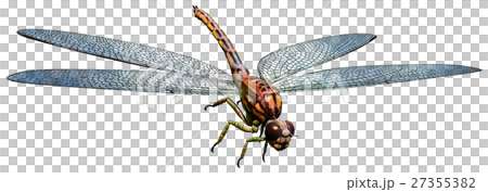 Meganeura Meganeura 27355382