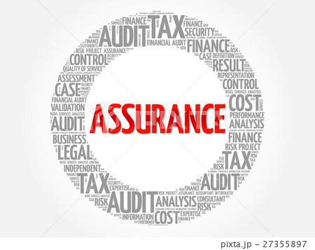 ASSURANCE word cloud 27355897