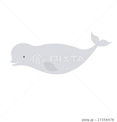 Vector beautiful beluga polar dolphin white whale 27356476