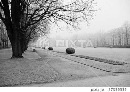 Branches covered hoar-frost in the park a winters Branches covered hoar-frost in the park a winters 27356555