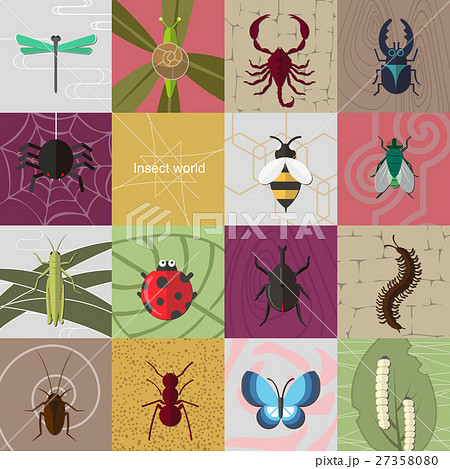 Insect collection. Butterfly snail spider scorpion 27358080