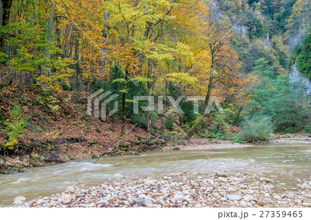 Landscape with mountain river and forest Landscape with mountain river and forest 27359465