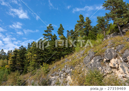 Scenic landscape with mountain forest Scenic landscape with mountain forest 27359469
