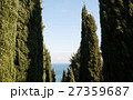 cypress alley on a background of the sea 27359687