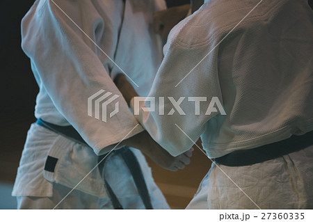 martial artist martial artist 27360335