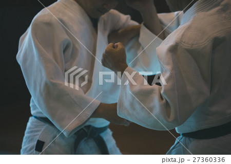 martial artist 27360336