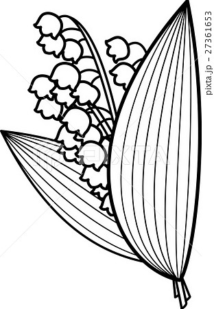 すずらん花束 白黒ぬり絵線画のイラスト素材 27361653 Pixta