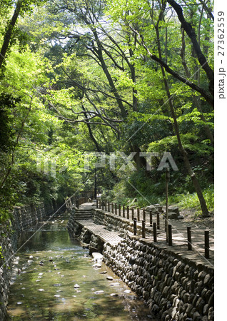 等々力渓谷 27362559