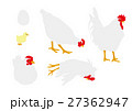 白いニワトリのイラストセット 白いニワトリのイラストセット 27362947
