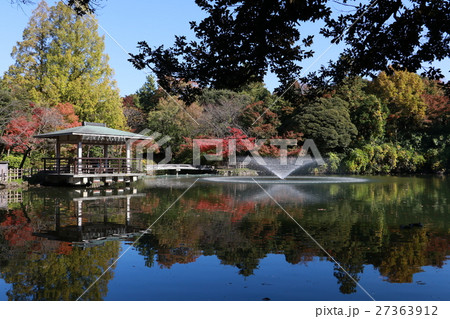 ［富山県］高岡古城公園（秋） 27363912