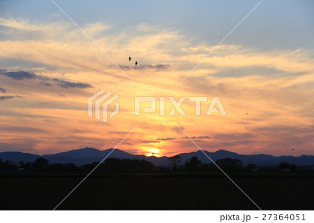 寂寞の夕景 寂寞の夕景 27364051