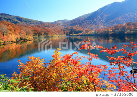 須川湖の紅葉02 27365000