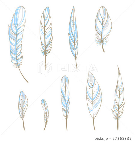 Set with hand drawn feathers 27365335