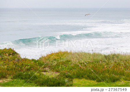 coastline with stones, plants surfs in cloudy day coastline with stones, plants surfs in cloudy day 27367549
