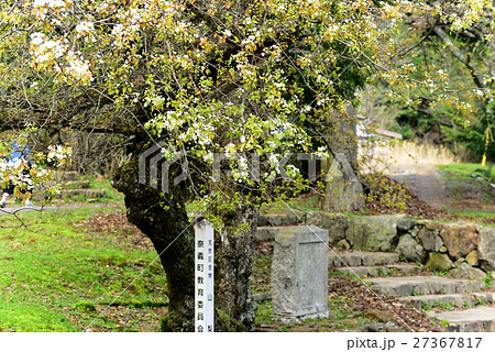 奈義町の天然記念物　山梨 27367817