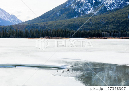 冬のカナディアン・ロッキー　朝のバーミリオン・レイク 27368307