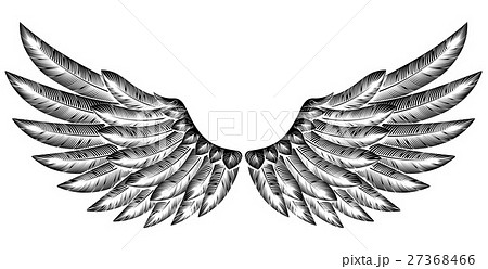 Pair Of Bird Wings Stock Illustration