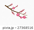 梅の枝と花 27368516