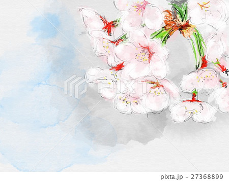 満開　イラスト 27368899