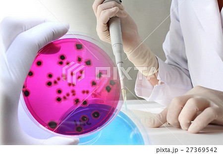 研究イメージ　微生物学 27369542