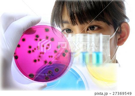 研究イメージ　微生物学 27369549
