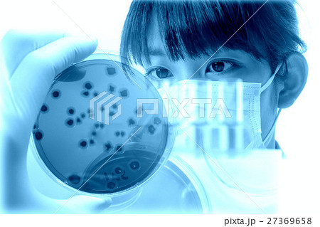 研究イメージ 27369658