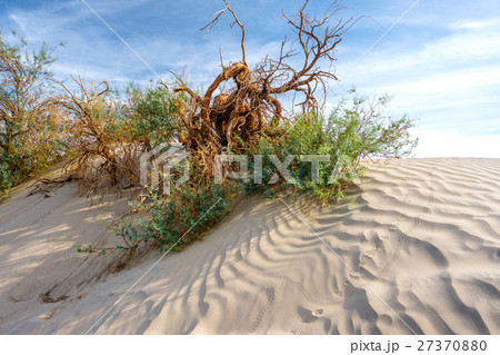 Death Valley National Park 27370880