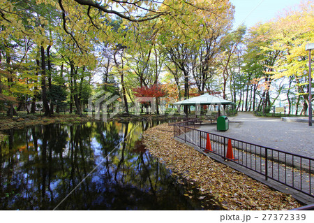 塚山公園の野鳥の森 27372339