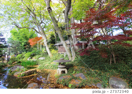 柏の宮公園の紅葉 柏の宮公園の紅葉 27372340