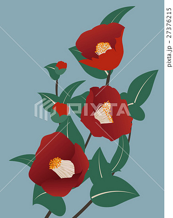 寒椿のイラスト素材