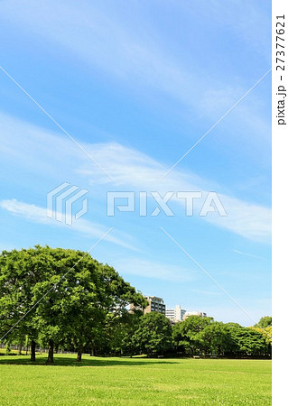 青空に恵まれた広くて綺麗な公園 27377621