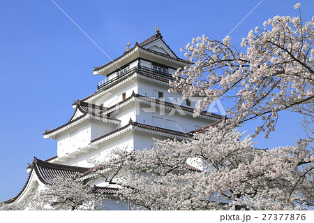 春の鶴ヶ城 春の鶴ヶ城 27377876