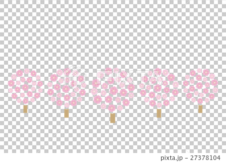 排櫻桃樹 27378104