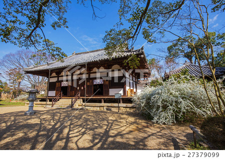 奈良 海龍王寺の雪柳 横位置 奈良 海龍王寺の雪柳 横位置 27379099